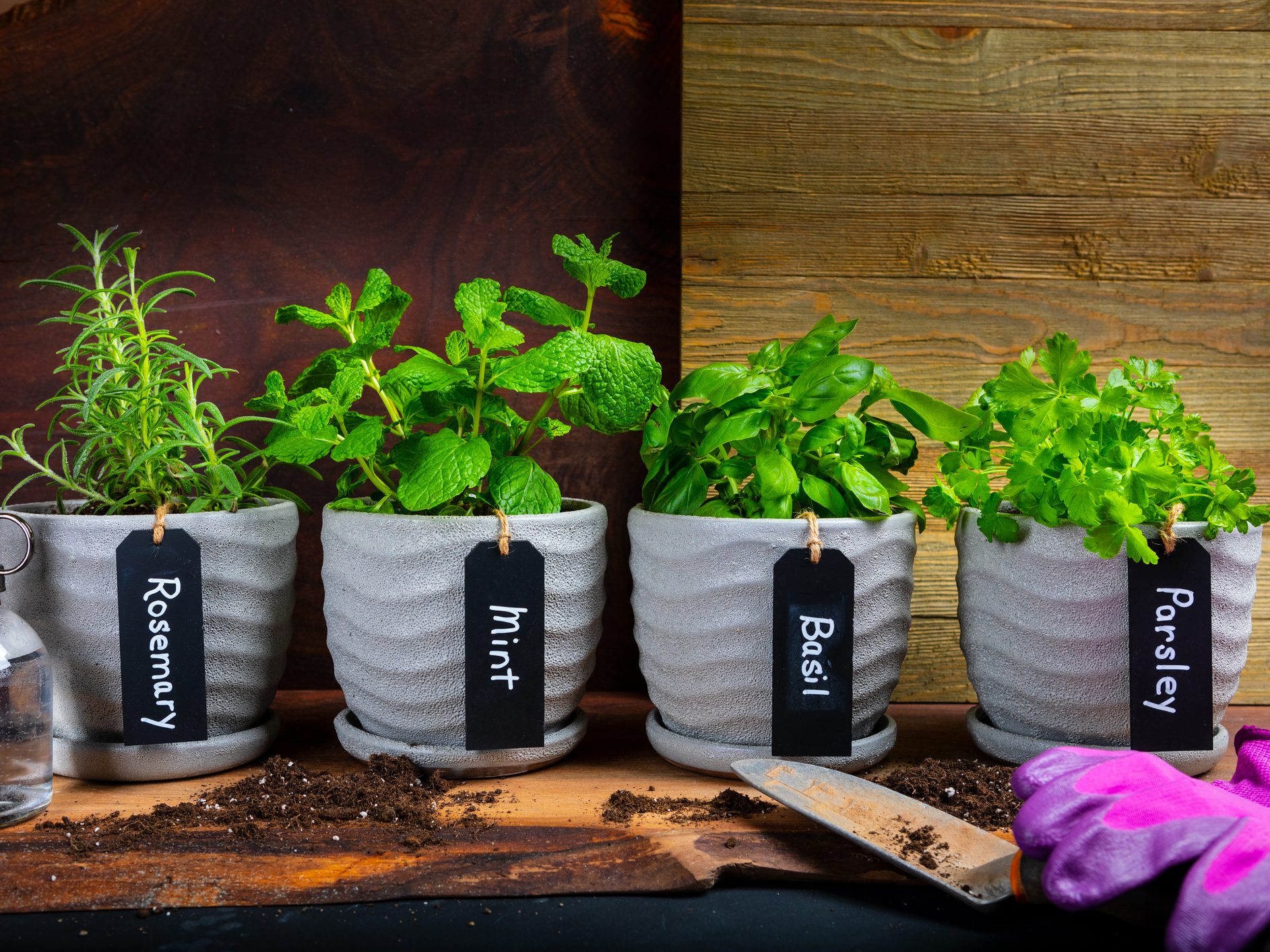 DIY: How to Create a Seasonal Herb Garden (Indoors or Out)