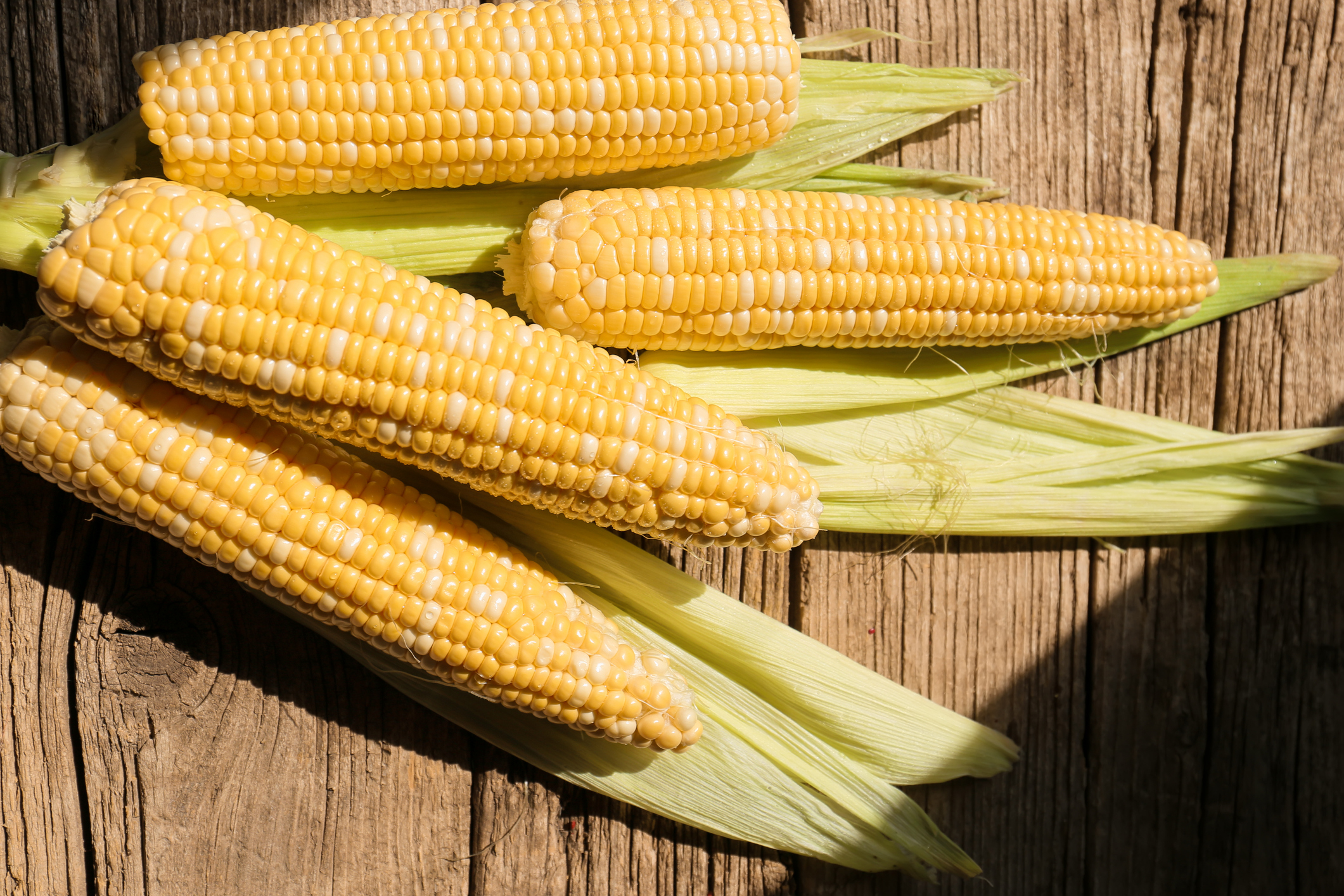 In Season Now: Corn