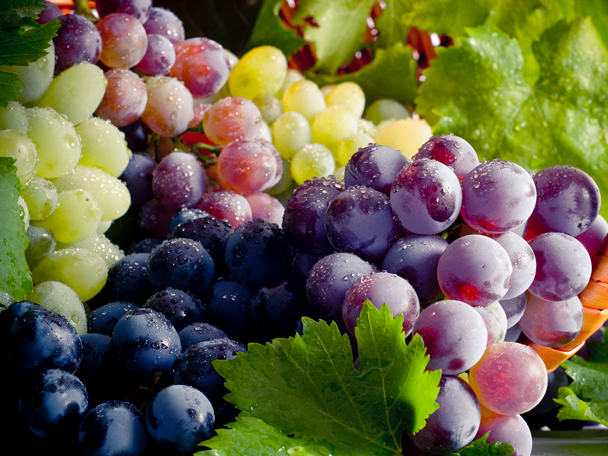 In Season Now: Grapes