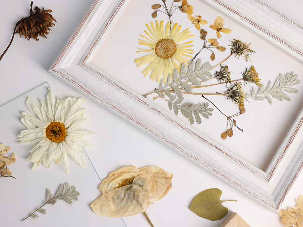 Beautiful DIY Pressed Flower Art
