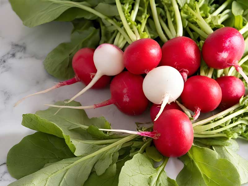 In Season Now: Radishes